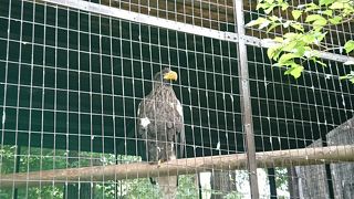 円山動物園入口を入ってすぐ。