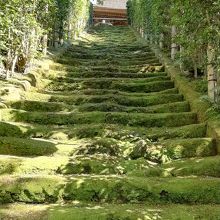 苔の石段の先に本堂が 