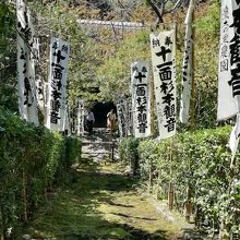 本堂前の石段上からの風景