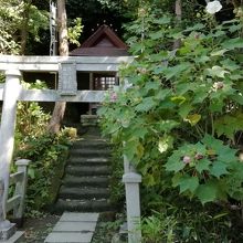 観音堂右手奥にある熊野・白山大権現です