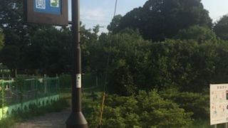 緑溢れる公園