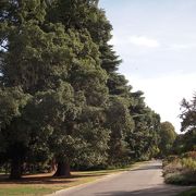 木々の緑に癒されるガーデンで、総面積１６５ヘクタールもある広大な敷地のハグレー公園です。