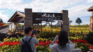 派手な看板で目立ちます。