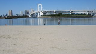 細かい砂の浜でした