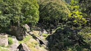 立派な石庭でした