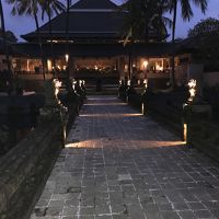 庭が広く非常に綺麗