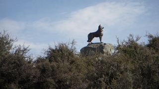 テカポ湖畔の「善き羊飼いの教会」のすぐそばにバウンダリー犬の像が立っています。開拓時代に柵のない境界線（バウンダリー）を守って活躍した牧羊犬の功績を称えられた像だそうです。