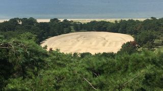 綺麗に見えます