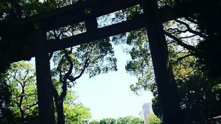 明治神宮に行きました。観光