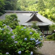 あじさい寺