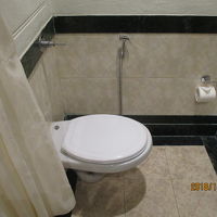 トイレ。水の流れは問題なし