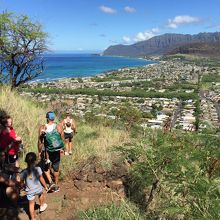 地元の方も多数登っていました。