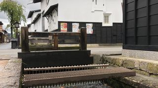 11月下旬から4月上旬までは瀬戸川に鯉がいません！