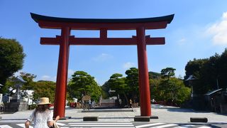 絶好の撮影スポット