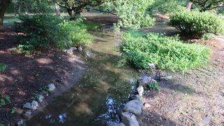 涼しげなせせらぎ