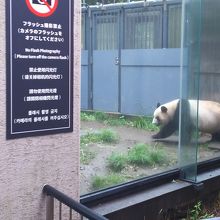 お母さんだと思います