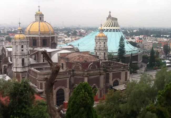 高台から寺院、旧聖堂、メキシコシティの街並みを楽しめます。