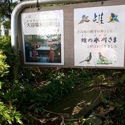 雉の氷川神社