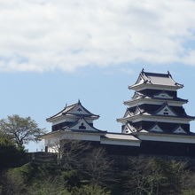 対岸の公園から　姿が美しい