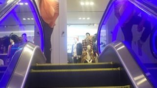 アメリカのファストファッション