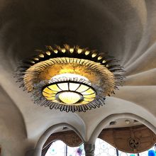 上を見ることが多くて、首が痛くなりました