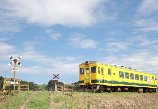 いすみ鉄道 クチコミ・アクセス・営業時間｜いすみ・大多喜