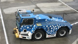 可愛い車両があります。