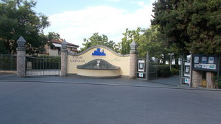 このシルミオーネは温泉が出ます。