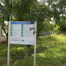 シンボルプロムナード公園