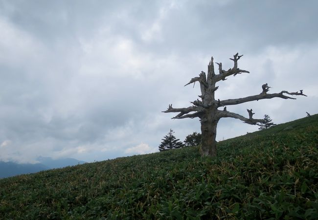 石鎚国定公園 クチコミ アクセス 営業時間 西条 石鎚山 フォートラベル 石鎚国定公園 クチコミ アクセス 営業時間 西条 石鎚山 フォートラベル