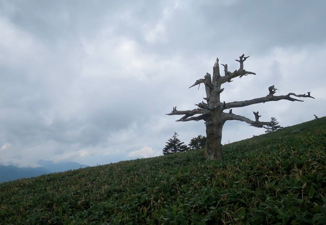 緑豊かな山々