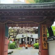 善光寺七福神めぐり／寿老人