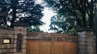 東京とは思えない静かで緑豊かな庭園