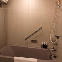 シャワー一体型ですが広々としています