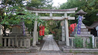 何にでも御利益ありそう