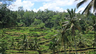 何度行っても素敵な風景
