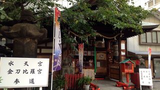 招き猫と本物の猫も