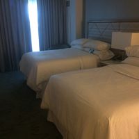 ひろびろしている。