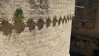 無料で見学可能