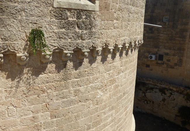 無料で見学可能