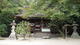 風の神の龍田に対し、水の神の廣瀬大社