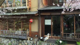 いつ行っても人でにぎわって