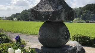 田んぼの中にポツンと…