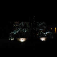 柳の木のモニュメントの夜景