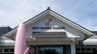 新生姜で楽しむ