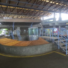 風変わりないけす