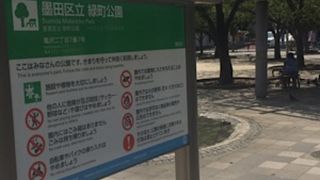 すっかり整備された公園