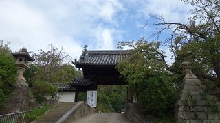 かつては歌舞伎、浄瑠璃そして落語や唱歌の世界に大忙し