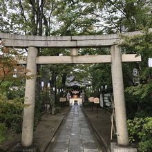 大山街道より撮影