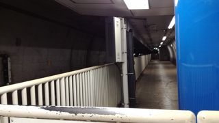 極端な格好をした人も乗っていました。